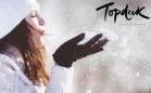 Topdeck - Britain and Ireland